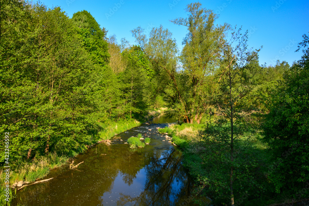 Fluss Große Striegis im Striegistal Sachsen Fluss Große Striegis im Striegistal Sachsen