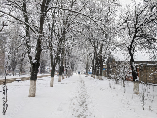 Winter in the park landscape background