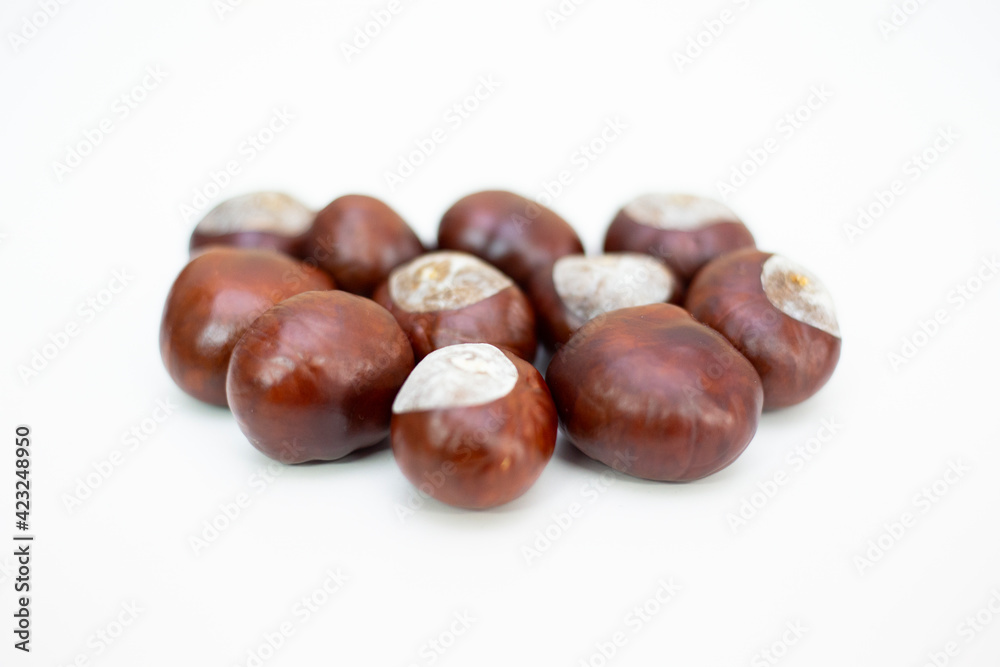 chestnuts on white background chestnuts on white background