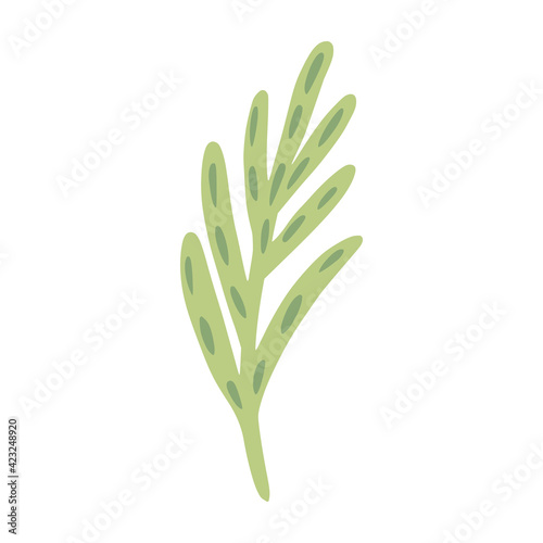Twig rosemary isolated on white background. Cute hand drawn botanical sketch for any purpose.