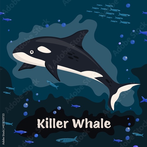 Killer whale. Sea animals collection. Vector illustration