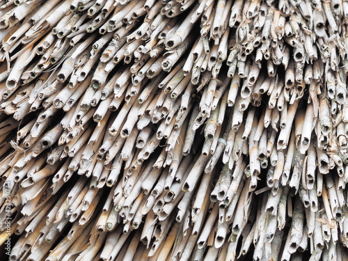 Dense rows of grey weathered roof reeds in an irregular pattern