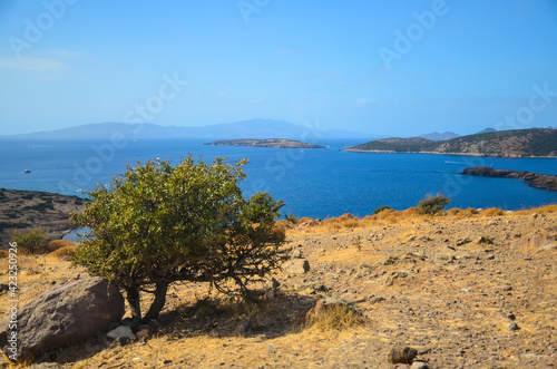 Amazing Seascape from the hill near Bodrum, Turkey. Beautiful tree and srone in front background. Aegean Marine view. Vacation in Turkey