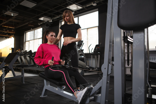 Personal trainer and her client using seated cable row gym machine, copy space