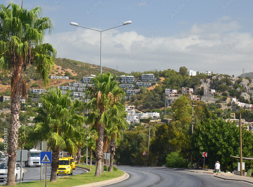 BODRUM, TURKEY - SEPTEMBER 24 2020: Main route (road) with cars and tall tree palms. beautiful view to traditional white houses. Citylandscape. turkey vacation