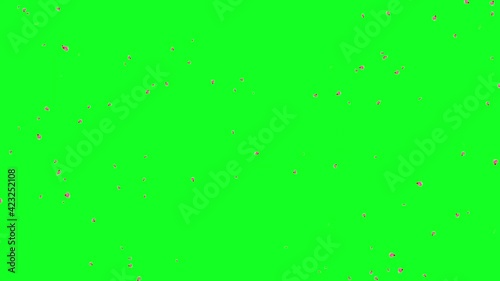 PETAL FLYING. CELEBRATION TEMPLATE ANIMATION.
GREEN CROMAKEY BACKGROUND
