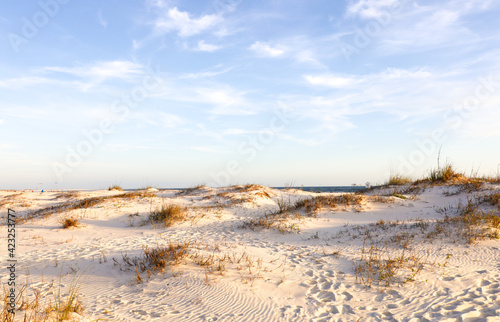 Sand dunes at Dauphin Island
