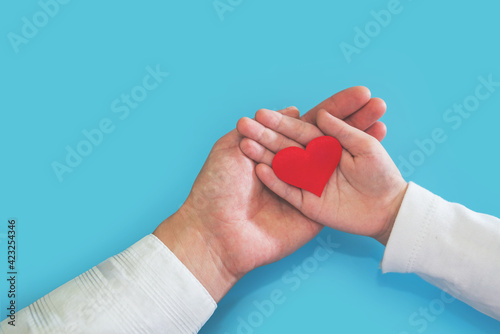 Family hands holding red heart, heart health insurance, organ donation, charity charity with volunteers, social responsibility for social responsibility, world heart day, world health day.