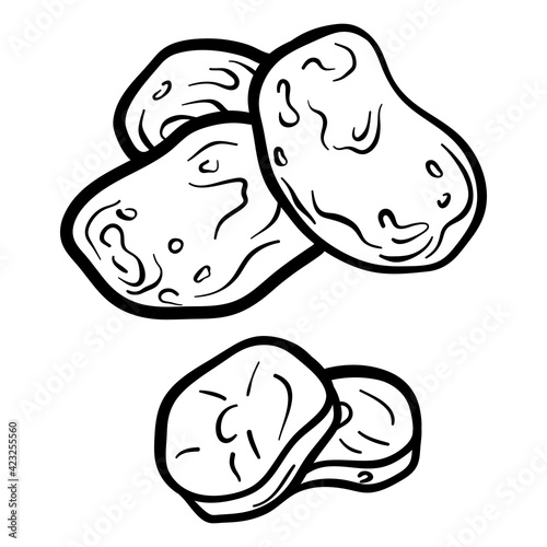 Potato isolated on white background. Full Potato and slice. Vector hand drawn outline illustration. Ingredient for cooking. Harvest. Farm vegetable.