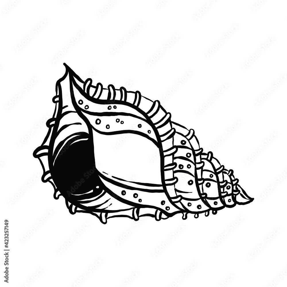 Fototapeta premium uncolored seashell illustration collection. animated nautical animal in vector graphic for creative design. aquatic object animation isolated on white background.
