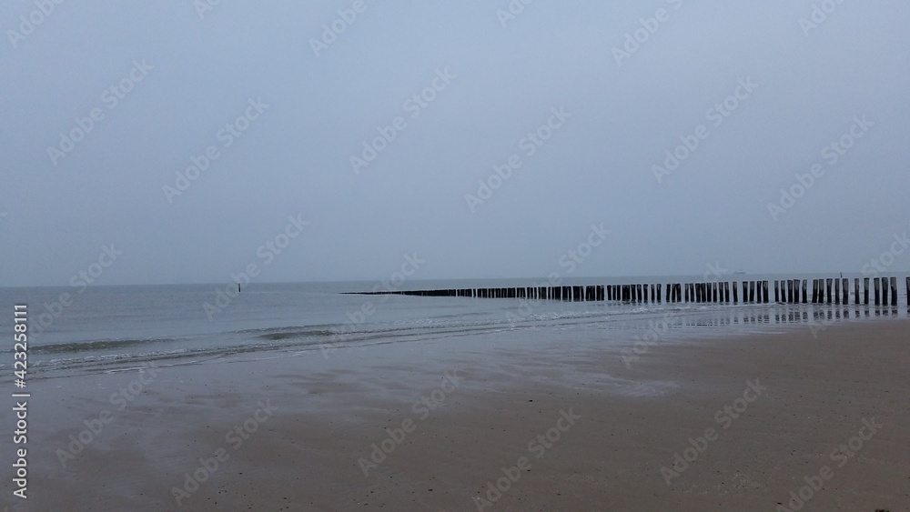 A beach in The Netherlands