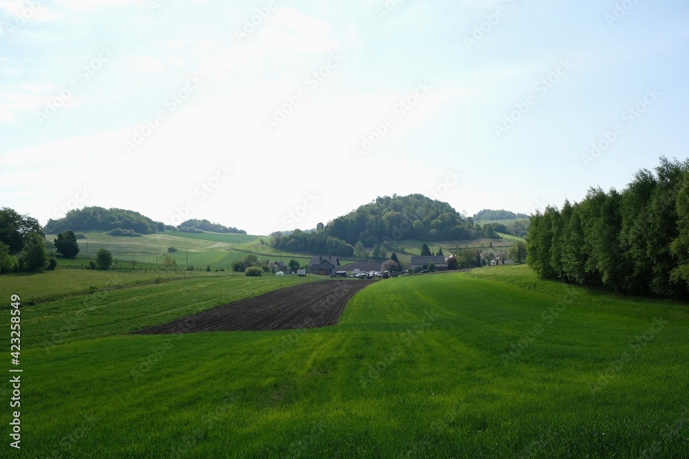 Beautiful rural views - farm and fields on hills in sunny spring day. Polish countryside, Cracow-Czestochowa Upland, Silesia, Poland.