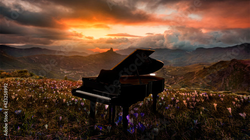 Piano In Nature