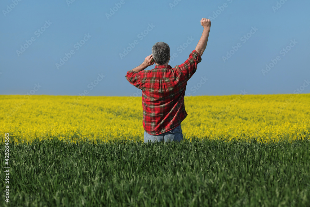 Farmer or agronomist  inspecting quality of wheat and canola plants in field, speaking by mobile phone and gesturing with fist up, agriculture in spring