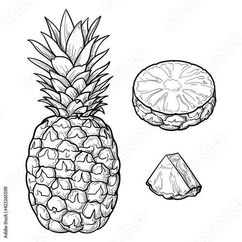 Hand Drawn Pineapple. Black and white. Vector illustration.