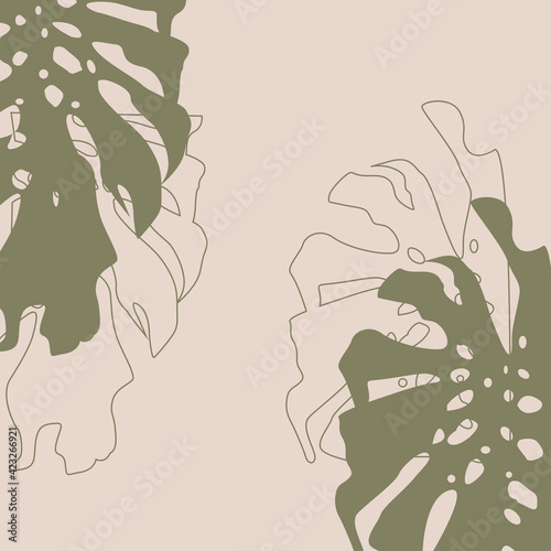Plant background. Big monstera leaves. Nature. Tropic design. 