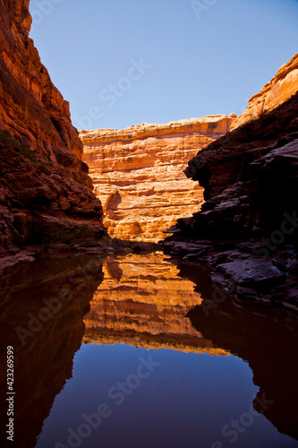 Canyon walls reflected in a calm pool in an alcove side canyon along the lower San Juan River in southern Utah just upstream of Oljato Canyon which originates in Monument Valley, Arizona    photo