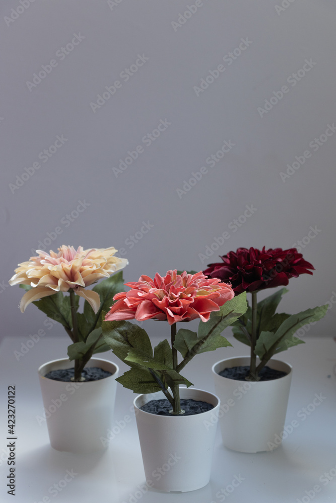 Beautiful and Colorful Artificial Flowers on White Background