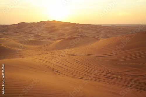 sand texture, desert with sand