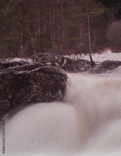 The rushing water of the waterfall among the trees and stones