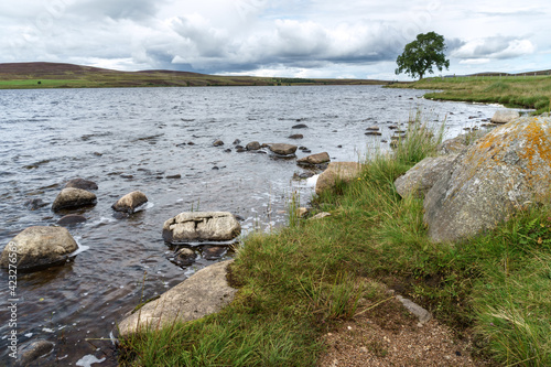 Countryside at Lochindorb photo