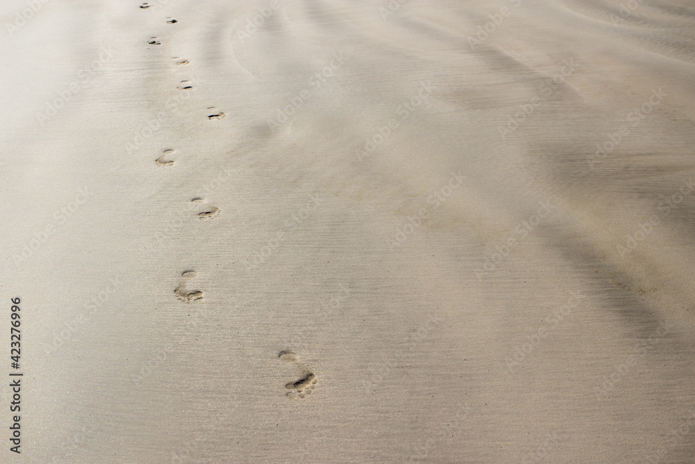 Man's footprints in wet plain sand on the left side of the photo Man's footprints in wet plain sand on the left side of the photo