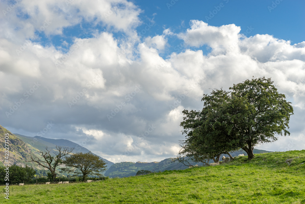 Countryside of the Lake District Countryside of the Lake District