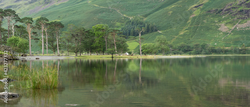 View of Buttermere photo