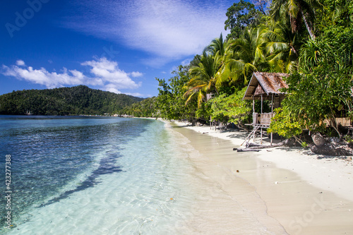 Tableau sur toile A simple hut in paradise palm trees on the white sand beach with crystal clear w