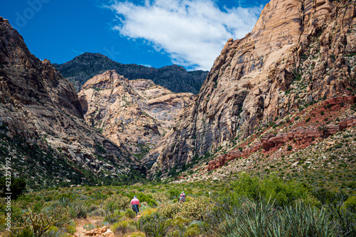 Photography The bright colors of the mountain rocks stand out against the blue sky, white clouds and green of the desert plants here at Red Rock Canyon in Las Vegas NV