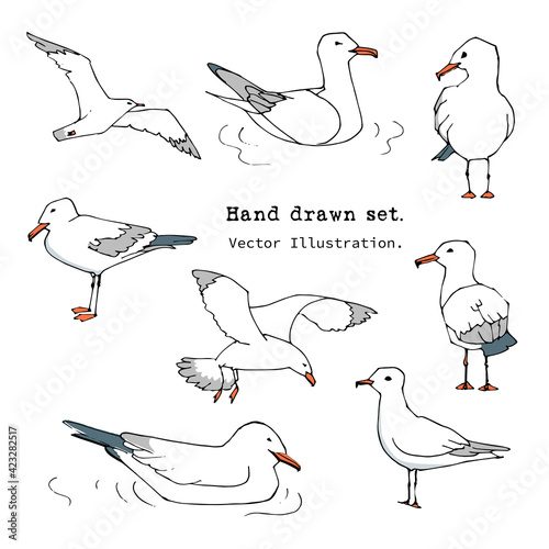 Hand drawn summer print. Marine pattern in Doodle style. Set of gull, seabird, flying seagull illustration.  Isolated cartoon vector illustration set. Collection of cutecruise icons. Sea, ocean, beach