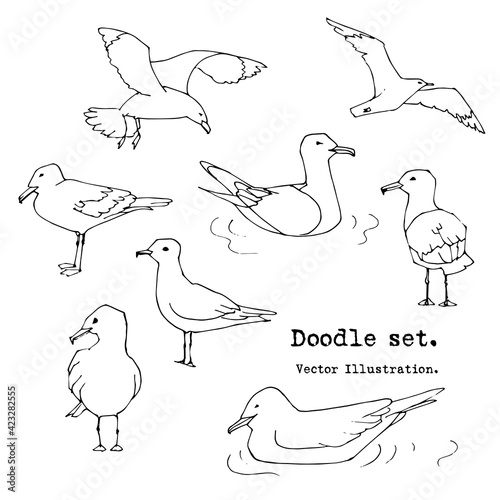 Hand drawn summer seaside print. Marine pattern in sketch style. Set of gull, seabird, flying seagull .  Isolated cartoon vector illustration set. Collection of Doodle  icons. Sea, ocean, beach, sail;