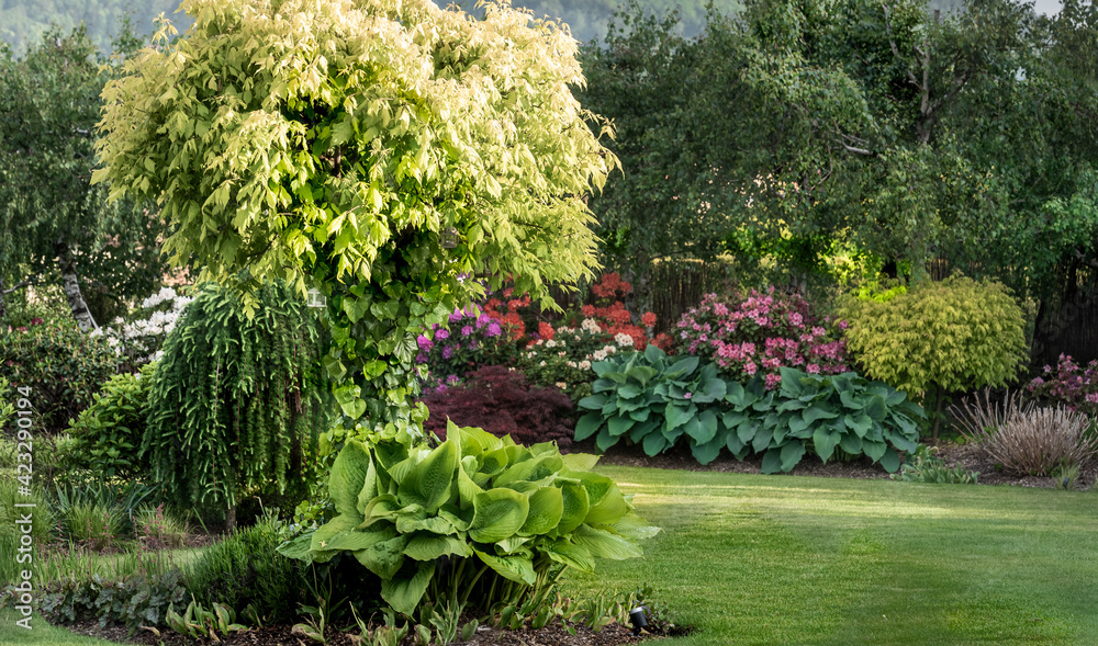 Fototapeta premium zielony ogród , ogród z pasją, wiosna w ogrodzie , 