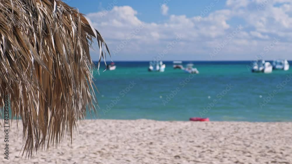 Tropical shore with thatched palapa. View on the sea. Summer holidays. Travel destinations Tropical shore with thatched palapa. View on the sea. Summer holidays. Travel destinations