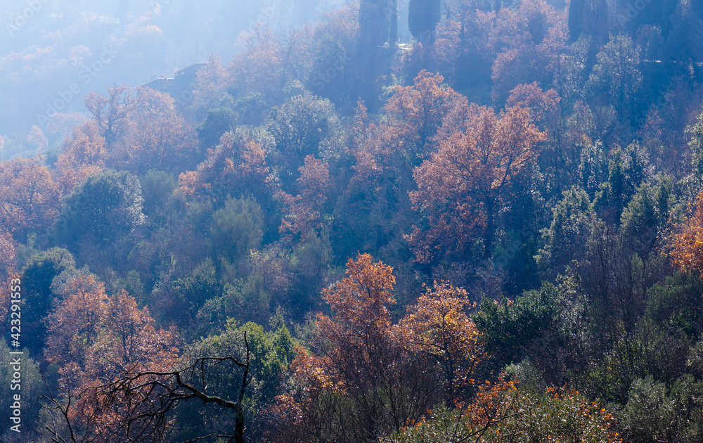 Beautiful hills of Tuscany, misty morning landscape, a view where the light covers the meadows and fields, creating magical gradients of light and shadow. Tuscany panorama Beautiful hills of Tuscany, misty morning landscape, a view where the light covers the meadows and fields, creating magical gradients of light and shadow. Tuscany panorama