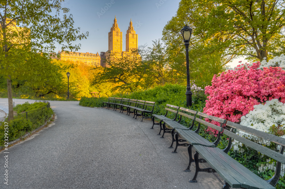 Central Park in spring