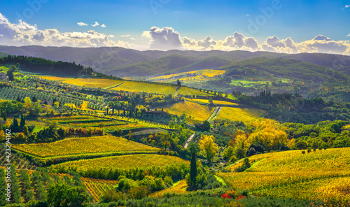Panzano in Chianti vineyard and panorama. Tuscany  Italy