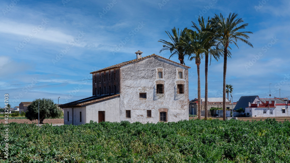 An isolated house in a field of beans near Valencia, Spain. Near the house there are palm trees with a blue sky background