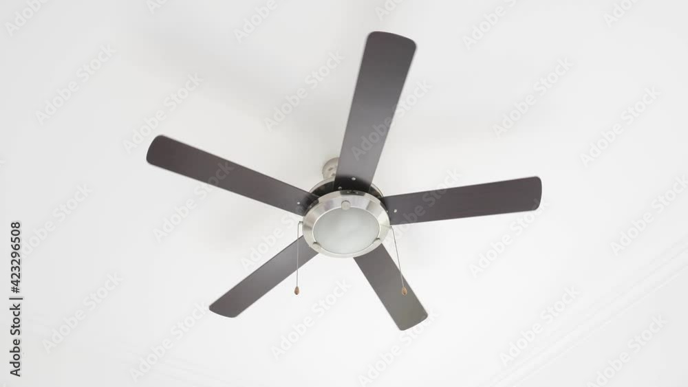 Ceiling fan with lamp in modern interior, nobody Ceiling fan with lamp in modern interior, nobody