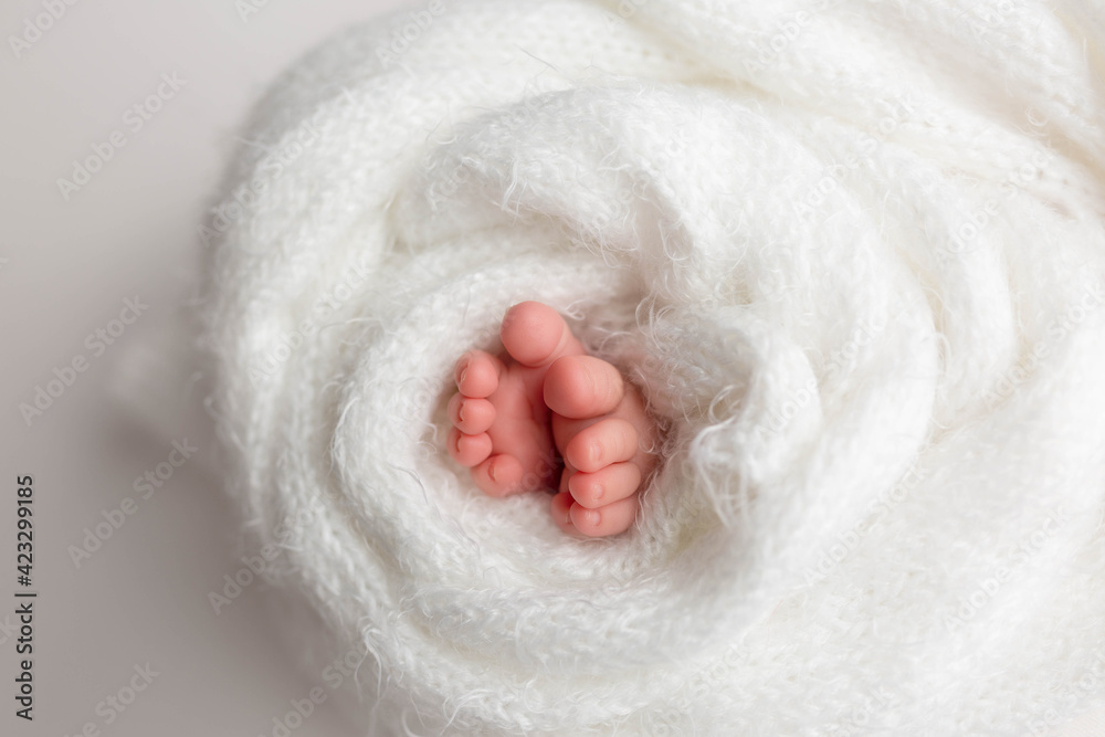 legs of a newborn baby in a white blanket. newborn legs of a newborn baby in a white blanket. newborn