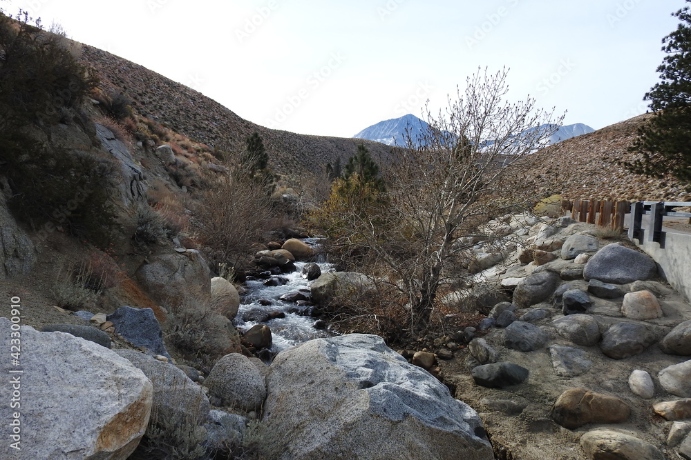 The beautiful scenery of Big Pine Creek in the Eastern Sierra Mountain wilderness, Inyo County, California.