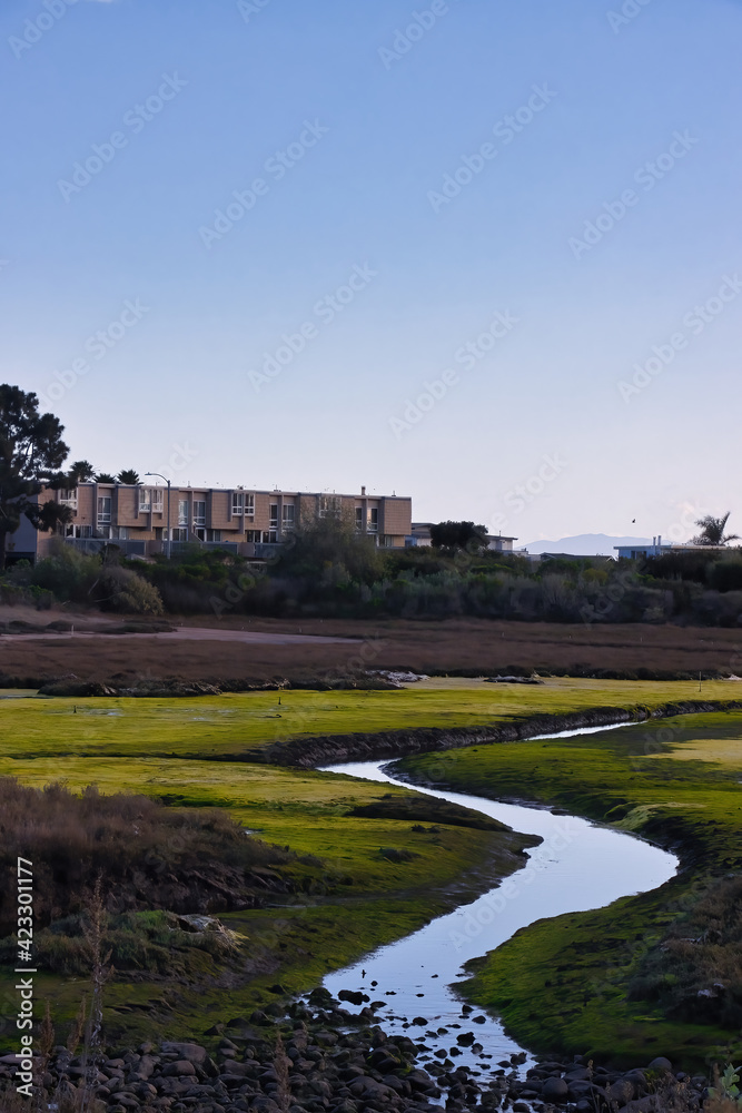 Hiking in the Carpinteria salt marsh after a passing storm