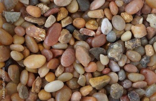 Very detailed photo of some river rocks. Great background. 