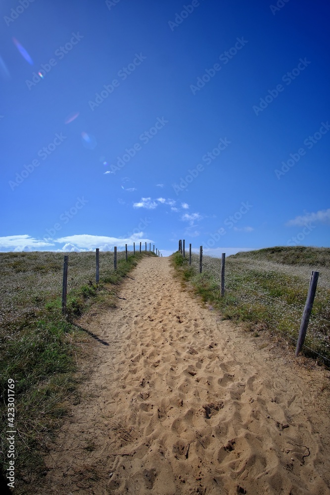 Obraz premium Dunes leading to the beach in Bretignolles France