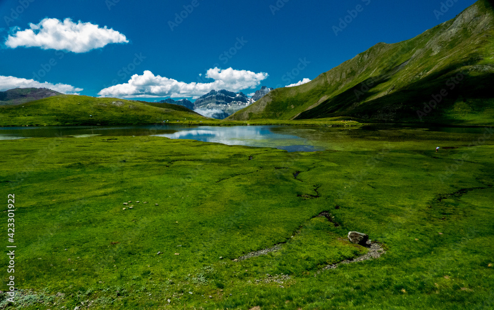 Diversos regatos se dirigen hacia una laguna de origen glaciar a través de una pradera de alta montaña en los Pirineos españoles