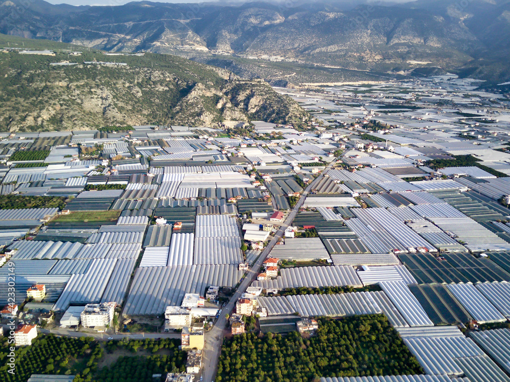 High angle drone aerial view of greenhouse fields of greens plantation in Demre - Antalya province, Turkey
