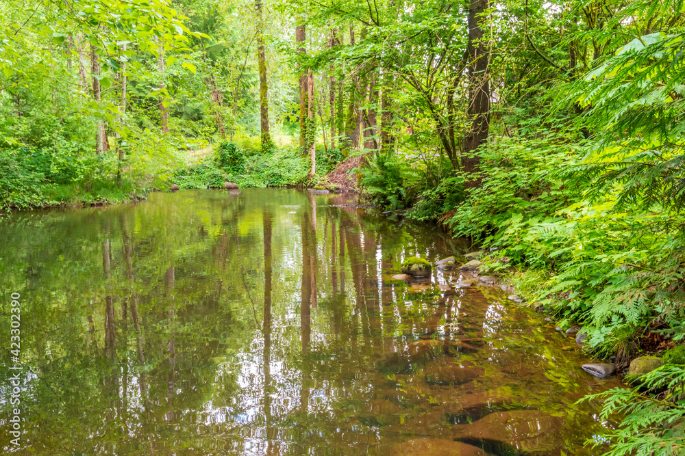 Small mountain creek in Vancouver, Canada. Small mountain creek in Vancouver, Canada.