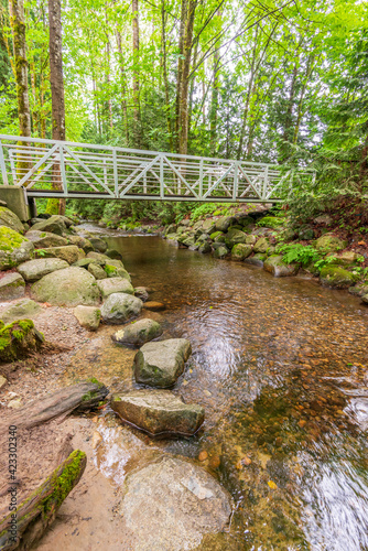 Small mountain creek in Vancouver  Canada.