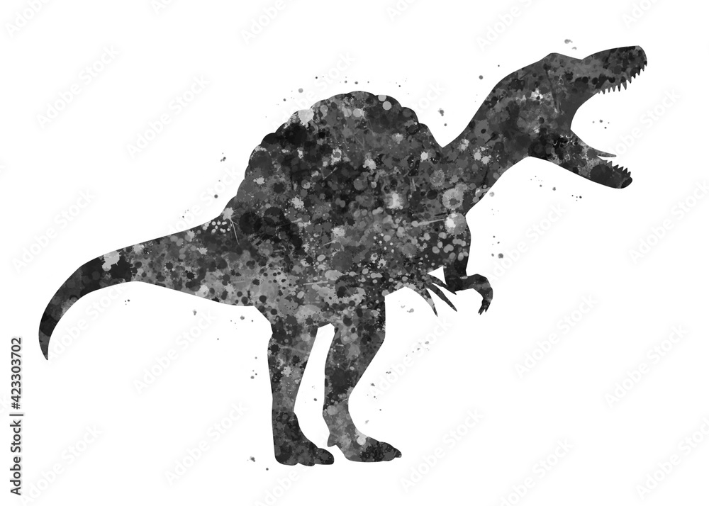 Spinosaurus dinosaur black and white watercolor art, abstract animal painting. kids dinosaur art print, watercolor illustration rainbow, colorful, decoration wall art. Spinosaurus dinosaur black and white watercolor art, abstract animal painting. kids dinosaur art print, watercolor illustration rainbow, colorful, decoration wall art.