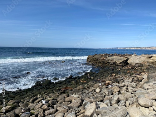 Pacific ocean and sea lions on the rocks of La Jolla near San Diego California